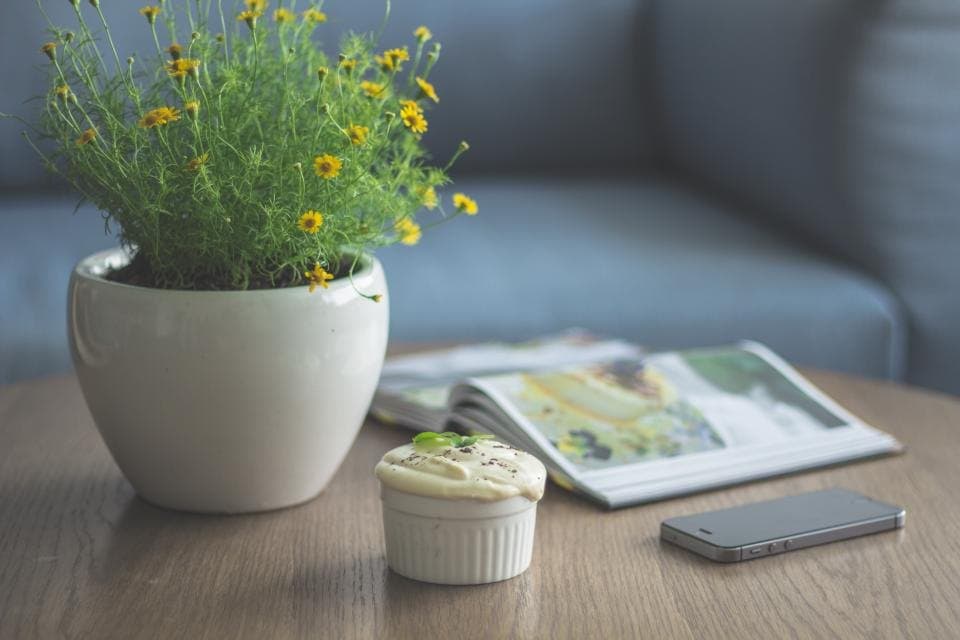 Ceramic Planter