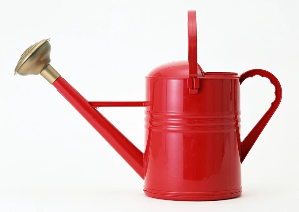 Copper Watering Can