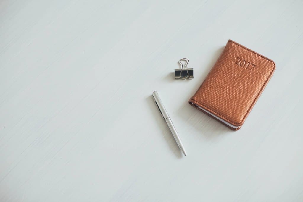 Travel Document Sleeve